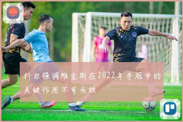 科尔强调维金斯在2022年夺冠中的关键作用不可或缺
