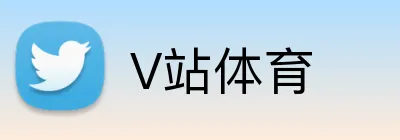 V站体育 Logo
